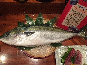 ブリ