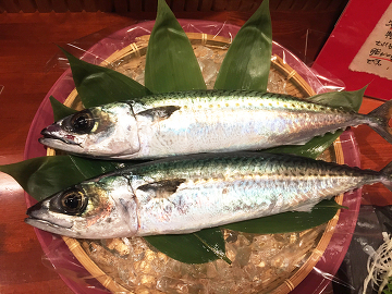 清水サバ
