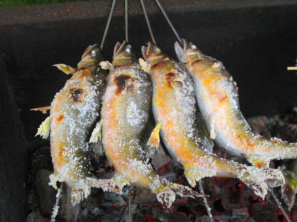 鮎の塩焼き